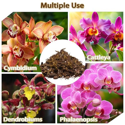 Orchid Potting Mix, Well-Draining Soil for Orchids Repotting - 4QT | Blend of Pine Bark, Perlite, Coco Peat & Moss; for Phalaenopsis, Dendrobium, Succulents, Ferns; Resealable Bags - size: 4QT