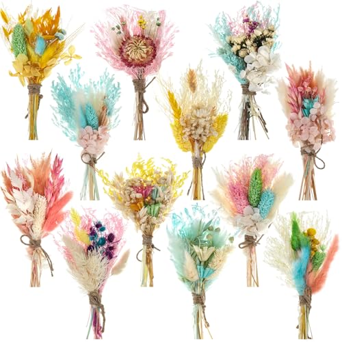 Layhit 12 Pcs Mini Dried Flower Bouquet Boho for Wedding,Lively - style: Lively