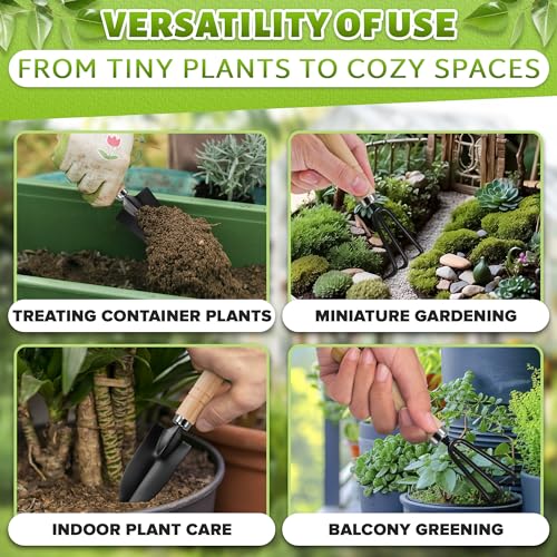 3 Pcs Mini Garden Tools, Shovel, Rake, Wooden Handles, Steel Heads | Small Gardening Tools Set, Tiny Trowel for Transplanting, Repotting and Planting, for Indoor Plants, Succulents and Bonsai - color: Black Set of 3