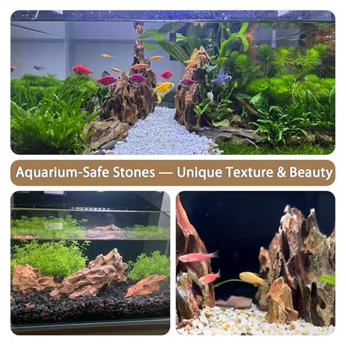 Aquariums Stones Natural Rocks 3lb Aquarium Rock for Fish Tank Aquascaping,Aquariums,Terrariums,Vivariums,Decorative Stone,Reptile Enclosures,Paludariums,and Gardens-（2-5 Inch） - size: 3LB (2-5 inch)