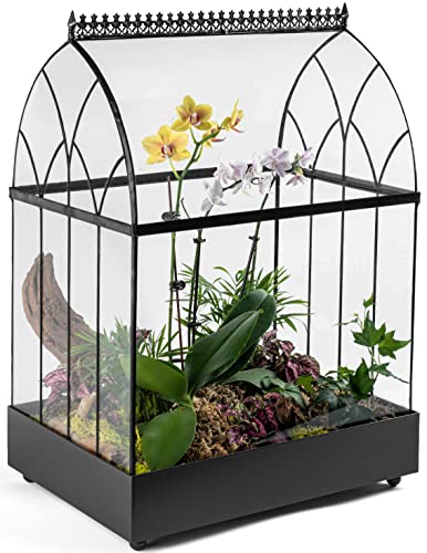 H Potter Extra Large Glass Terrarium Wardian Case, 22.6 Inch Tall | Curved Glass, Indoor Tabletop Planter, Metal Base, For Orchids Ferns and Tropical Plants