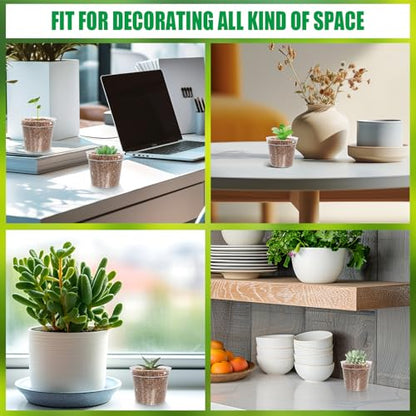 BTPLASTIK 50 Pack 2.5 Inch Clear Nursery Pots for Plants, Sturdy Plastic Plant Pot for Planting Vegetables Flowers Seedlings, Transparent Seed Starter Pots with Drainage Holes, garden, Gardening Gifts - size: 2.5 Inch-50P