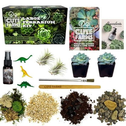 Cute Farms Terrarium Starter Kit | Moss, Vermiculite, Soil, Pebbles, Plant Food, Finishing Tools, Build and Care Guide | DIY Succulent Terrarium for Adults and Kids (Large + Live Plants) - size: Large Kit + Live Plants