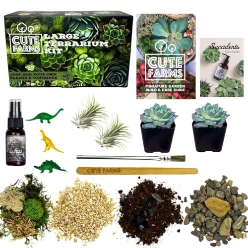 Cute Farms Terrarium Starter Kit | Moss, Vermiculite, Soil, Pebbles, Plant Food, Finishing Tools, Build and Care Guide | DIY Succulent Terrarium for Adults and Kids (Large + Live Plants) - size: Large Kit + Live Plants