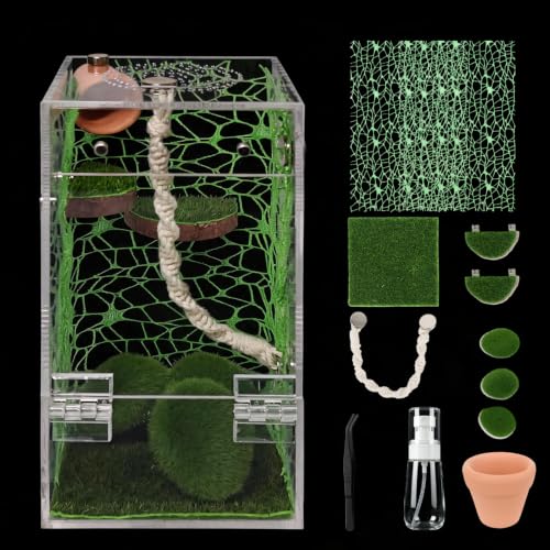 Jumping Spider Terrarium 4" x 4" x 8" DIY Habitat Kit | Rest Platforms, Climbing Rope, Hideout, Moss Decor, Feeding Tongs & Mister for Jumping Spiders - color: Green