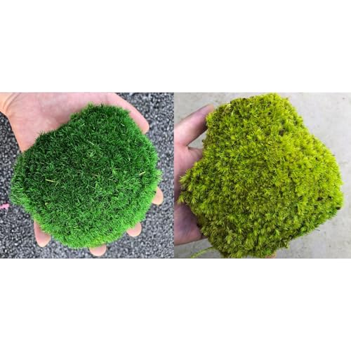 prefleur 2 Color Mix Pack Preserved Pole Moss Pillow Bun Cushion Natural Decorative DIY Kit Art Wall Florist Decor Easter Table Decor Wedding(1.5 sq.ft, Green-C,Green-D) - color: Color Mix-green-(c+d), size: 1.5 sq.ft.