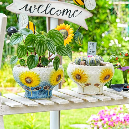 Sungmor Small Succulent Planters Set of 2, Beautiful Hand Crafted Ceramic Plant Pots Cute Cactus Pot, 6.5 Inch Flower Pots for Indoor Plants with Drainage, Desktop Windowsill Home Office Decor Pots | Beautiful Hand Crafted Ceramic Plant Pots Cute Cactus P