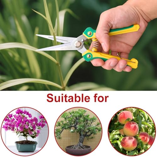 Gardening Scissors Hand Pruner Pruning Shear with Straight Stainless Steel Blades, Flower Cutter Garden Clippers, 8.1 Inch (Green) - color: Green
