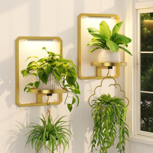 iDavosic.ly Wall Plant Picture Frame Holder Set of 2 & 2 Grow Light, Gold - color: Gold with 2 Lights, size: Rectangular
