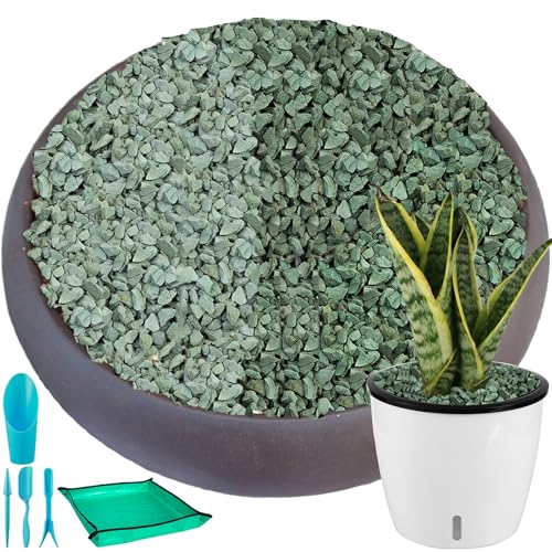 18 lbs Succulent and Cactus Bonsai Pebbles, 6-9mm Decorative Landscaping Stones Natural Garden Gravel Rocks for Indoor Outdoor Plants Aquariums DIY, and Gardening Top Dressing, Green Zeolite - size: 0.24-0.35 inch, style: Green zeolite/ 18 pounds