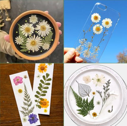 203 Pcs Dried Pressed Flowers for Resin Crafts, Real Natural Pressed Flowers and Leaves Kit Butterfly Stickers Vacuum Sealed Dry Flowers for DIY Epoxy Resin Jewelry Molds, Candle Soap Making, Nail Art - color: Sapphire 203pcs