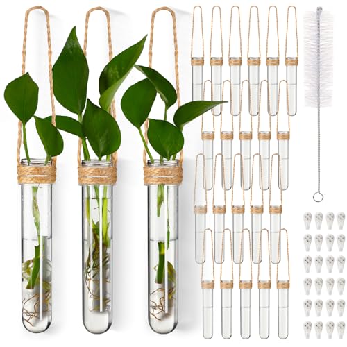 24 Pack Plastic Hanging Propagation Tubes Propagation Station Vases Wall Hanging Plant Vase for Planters Hydroponic Office Garden Flowers Decor Lover Gift (Natural Color) - color: Clear