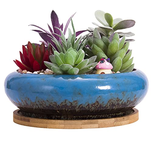 Succulent Pots, 7.3'' Ceramic Bonsai Pot with Tray, Large Succulent Planter | Shallow Planters for Indoor Cactus Plants Decorative Flower Plant Container Bowl - color: Blue