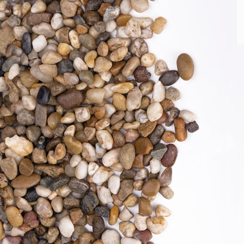 Pulovin 5 lbs Drainage Rocks for Potted Plants, 1/5 Inch Small Pebbles for Indoor Plants, Decorative Gravel for Vases, Bamboo, Succulent, Terrarium, Crafts, Cactus - color: Colored