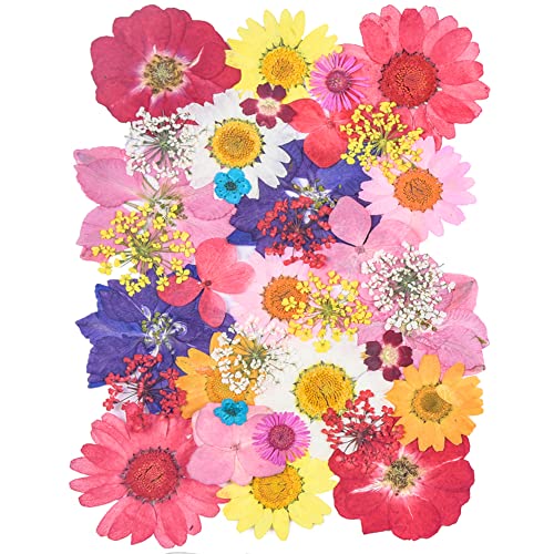 YouthBro Dried Pressed Flowers for Resin Molds,Real Natural Pressed Flowers for DIY Art Crafts,Candle Making, Nails Décor,Soap Making, Phone Case Red Pink - color: Red,pink