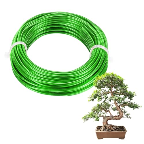 M METERXITY 1-Pack Bonsai Training Wire, 2.5mm x 33ft/10m Anodized Aluminum Bonsai Tree Wire for Gardening Branch/Fine Trunk/DIY Crafting [Grass Green] - color: Grass Green, size: 2.5mm