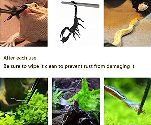 2Pcs 10.5" Reptile Stainless Steel Long Tweezers Feeding Tongs
