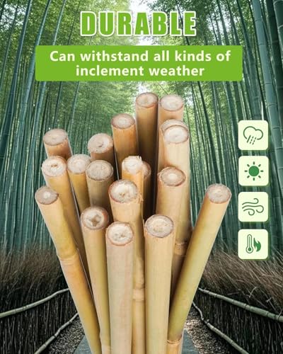 Natural Bamboo Plant Stake（3FT 50Pcs） Sturdy Bamboo Poles, Durable Plant Bamboo Stake, Garden Climbing Plant Bracket. - size: 3ft-50pcs