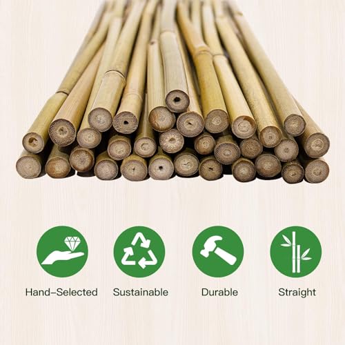 [32 Pcs] Garden Stakes, 18 Inches Natural Bamboo Plant Stakes, Plant Support Stakes with Twist Ties, Bamboo Sticks for Tomatoes, Beans, Flowers, Potted Plants, Indoor and Outdoor Climbing Plants - size: 1.5 Ft, 32 Pack