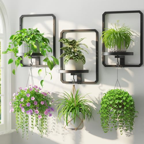 LASZOLA Plant Picture Frame Holder Shelf Wall Window Indoor, 3 Pcs Black - color: Standard Black, size: 3