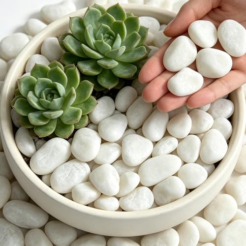 6 lbs White River Rocks, 1-2 Inch Decorative Pebbles - color: White, size: 6LB