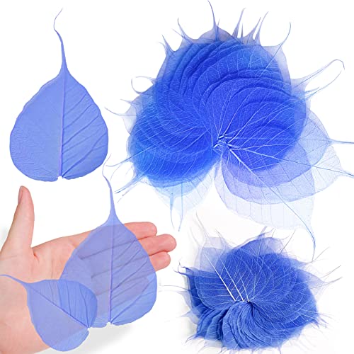 Natural Skeleton Leaves for Resin, 42PCS Blue Real Dried Pressed Dry BodhiSkeleton Leaf for Resin Mold Art DIY Craft Candle Making Phone Case Home Wedding Decor - color: Bodhi Skeleton Leaves-blue