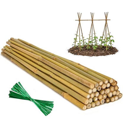 Plant Stakes Natural Bamboo Sticks - 35 Pcs Bamboo Garden Stakes for Plants 4 FT Plant Support Sticks with Twist Ties for Tomatoes Beans Flowers Indoor Outdoor Potted Climbing Plants - size: 4ft,35PCS