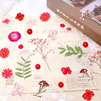 Dried Pressed Flowers Real Pressed Flowers Natural Dry Leaves Bulk Mixed Colorful Herbs Kit with Tweezers for Scrapbooking DIY Candle Jewelry Crafts Making Nails (Red) - color: Red