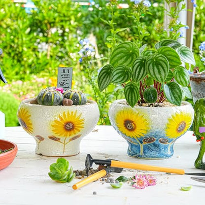Sungmor Small Succulent Planters Set of 2, Beautiful Hand Crafted Ceramic Plant Pots Cute Cactus Pot, 6.5 Inch Flower Pots for Indoor Plants with Drainage, Desktop Windowsill Home Office Decor Pots | Beautiful Hand Crafted Ceramic Plant Pots Cute Cactus P