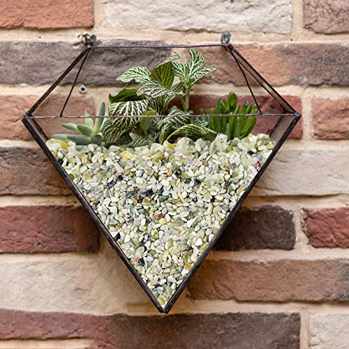 Succulent and Cactus Bonsai DIY Rocks, Jade Bean Pebbles, Natural Decorative Polished Stones Vase Fillers Gravel for Plants，Terrarium, Fairy Gardening, Indoor Outdoor Decor Ornamental Stones.