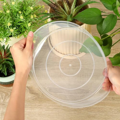 4 6 8 10 12 14 16 18 20 22 Inch Clear Plant Saucer, 5 Pack Durable Plastic Water Catcher Trays for Flower Pots, Plant Drip Trays for Indoor Outdoor Planter(10inch) - size: 10 inch