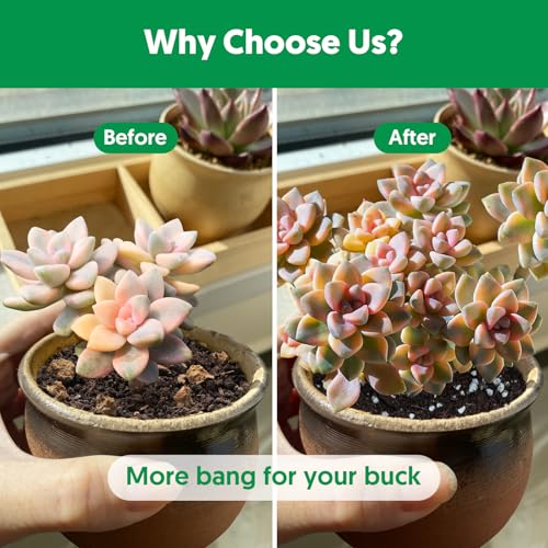Succulent Cactus Potting Soil Mix (2 qt), All-Purpose Garden Potting Mix for Indoor Outdoor Plants, Quick Drain Houseplant Orchid Bonsai Perlite Soil, Ready-to-Use, Resealable Bag Design - size: 2 qt