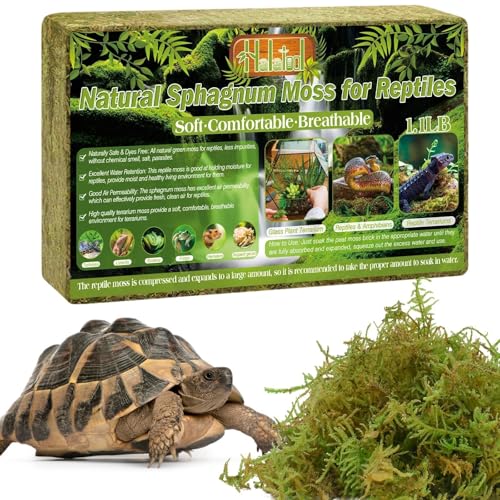 Halatool 1.1 LB Sphagnum Moss for Reptiles - Green Terrarium Moss - size: 1.1LB