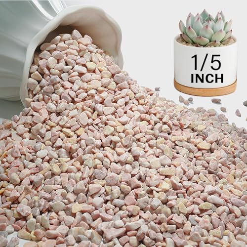 NUPICK 3 lbs Pebbles for Indoor Plants, 1/5 Inch Pea Gravel for Fish Tank | Polished Decorative Rocks for Succulent, Natural River Stones for Vases, Cactus, Landscaping, Bird Bath, Aquarium, Peach - color: Peach, size: 3 lb