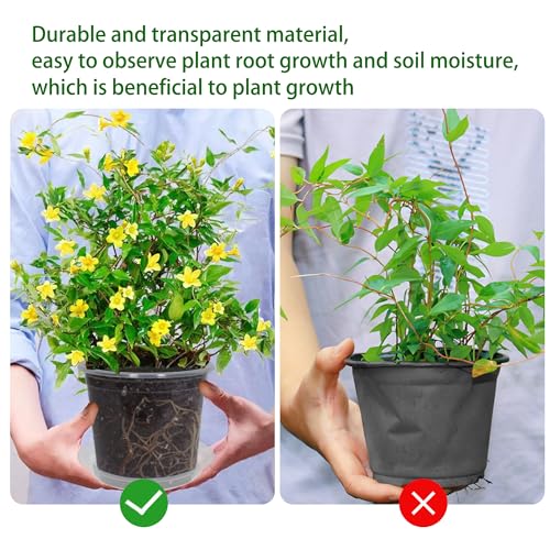 20 Pack 6 Inch Clear Nursery Pots with Drainage and 20 Pack Plant Saucers, 0.5 Gallon Plant Pots for Plants Potting Containers Half Gallon Plants Seeding Starter Pot (Clear, 6 Inch) - size: 6 Inch
