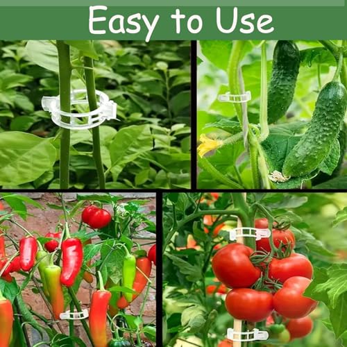50pcs Plastic Support Clips - Tomato Clips for String Trellis, Grape Vine Clips for Garden Netting Climbing Plants, Secured Plastic Plant Clip for Fixing Stem and Vine (50, White)