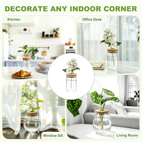 M METERXITY 1 Pack Glass Planter Terrarium with Wooden Cover, Desktop Plant Propagation Station Clear Vase for Hydroponic Plants Propagation/Home Garden Decor/Plant Lover [2.56'' x 3.94''] - size: 2.56'' x 3.94''