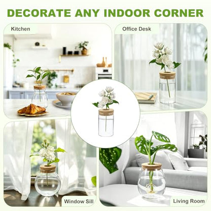 M METERXITY 1 Pack Glass Planter Terrarium with Wooden Cover, Desktop Plant Propagation Station Clear Vase for Hydroponic Plants Propagation/Home Garden Decor/Plant Lover [2.56'' x 3.94''] - size: 2.56'' x 3.94''