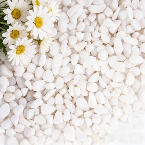 10 lbs White Gravel, 3/8 Inch Decorative Rocks | Small Decorative Rocks for Planters,Small Rocks for Plants, Vases, Cactus Potted Plants, Fish Tanks - color: White, size: 3/8 Inch 10 LB