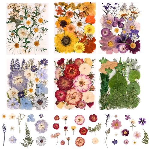 150PCS Pressed Dried Flowers Dry Leaves for DIY Crafts, Colorful - color: Colorful