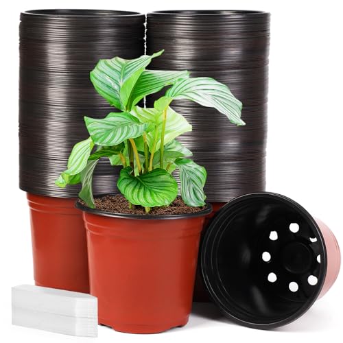200 Pack 6 Inch Plastic Nursery Pots Comewith Drainage Holes, Seedling Flower Plant Container and Seed Starting Pots with 200 Pcs Labels - size: 6 Inch