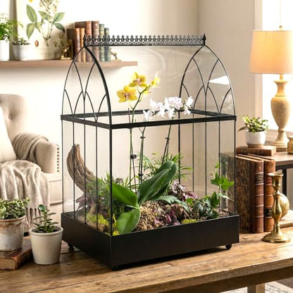 H Potter Extra Large Glass Terrarium Wardian Case, 22.6 Inch Tall | Curved Glass, Indoor Tabletop Planter, Metal Base, For Orchids Ferns and Tropical Plants