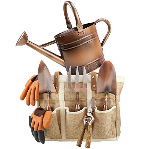 1 Gallon Galvanized Steel Watering Can with 3 Pcs of Garden Tools, 1 Pc of Pruning Shear, 1 Pair of Gardening Gloves，1 Pc of Garden Tools Organizer Tote