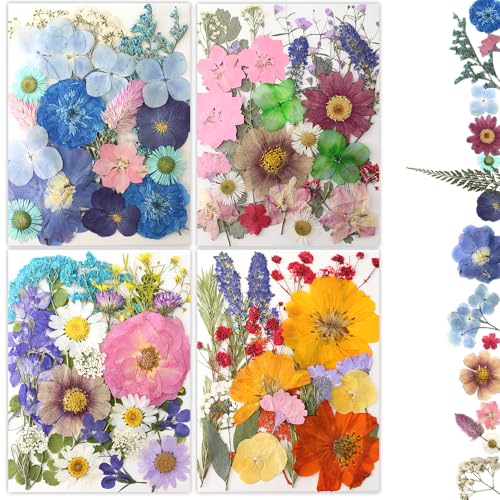 80Pcs Dried Pressed Flowers, Natural Pressed Flowers for Epoxy Resin Molds, Handcrafts, Home Decor, Candle Holder, Bookmarks, DIY Craft Art, Photo Frame, Multi Color - color: Multi Color-8