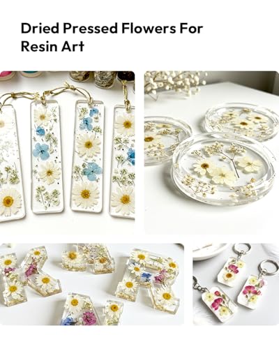 Dried Flowers, Resiners 100Pcs Pressed Flowers for Craft | White Real Natural Dried Flowers Dry Leaves Kit for DIY Making Craft Resin Soap Candle Scrapbook Supplies Card Making Jewelry - color: Ivory White 100pcs
