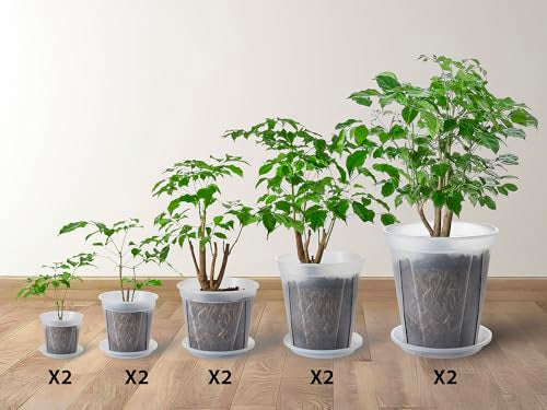 Clear Nursery pots with Drainage 5/6/7/8/9 inch 10 Pack | for Indoor&Outdoor Plant,monstera pots with saucers,monitor soil moisture and root health,semi-clear plastic(PP) material - size: 5/6/7/8/9inch with saucers