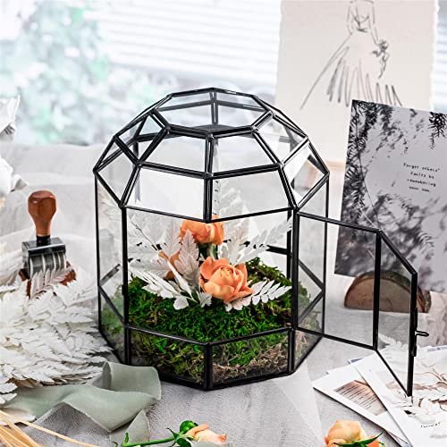 NCYP Geometric Glass Terrarium Dome for Succulent Cacti Air Plants, 6.6x6.6x8 Inches Closed Birdcage Planter Pot, Indoor Miniature Fairy Garden Display Container, Black, Handmade (Only Terrarium)