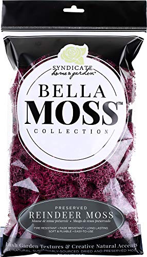 Bella Moss 1406121084 Reindeer Bag Moss, Sangria