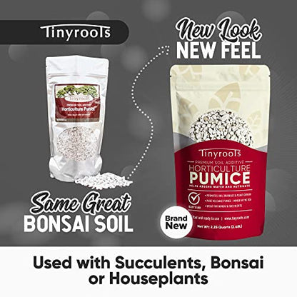 Bonsai Outlet Horticultural Pumice for Plants - Tinyroots 2.25 Quarts Soil Aggregate for Succulents, Cactus and Bonsai Plants - size: 4 quarts