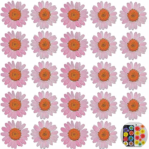 24 PCs Pink Red Daisy Real Natural Dried Pressed Flowers for Candle Making Art Craft DIY - color: Pink Red